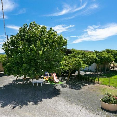 Agriturismo Case Nuove Castellina Marittima Eksteriør billede